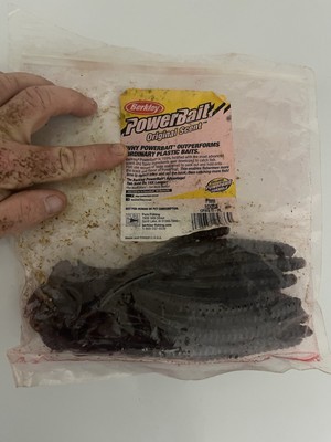 Powerbait 10in Power Worm Plum (20)