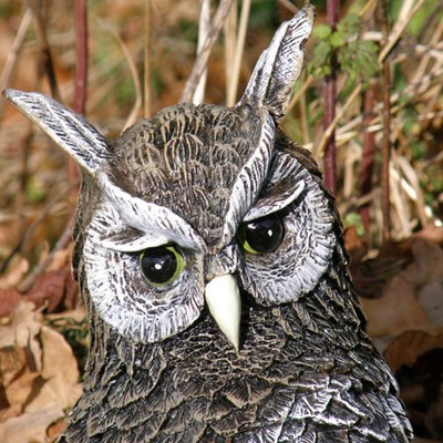 Eule Dekofigur Figur Gartenfigur Vögel Uhu Deko Wald Jagd Natur Statue