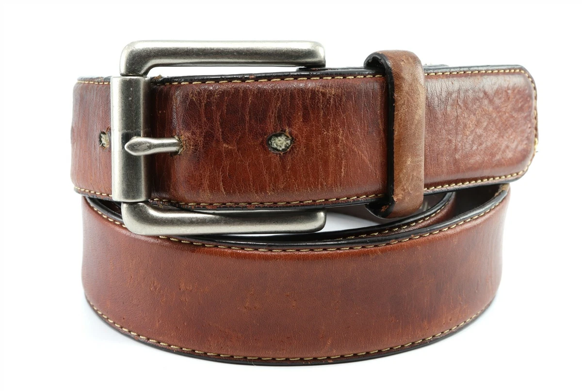 Belt fossil 2025