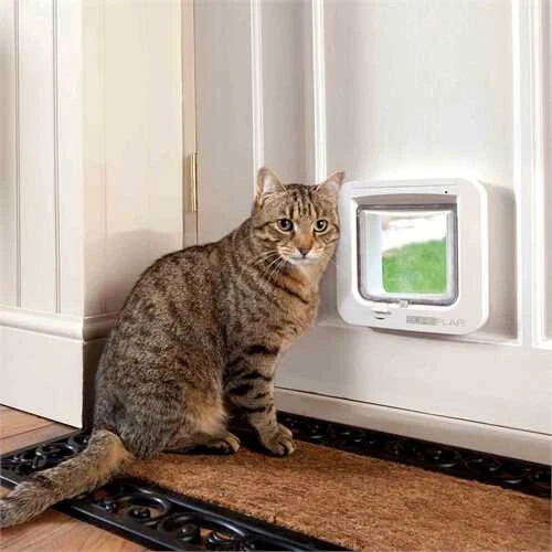 [36] Fitting A Cat Flap In A UPVC Door, 40 OFF