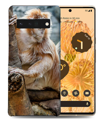 CASE COVER FOR GOOGLE PIXEL|CUTE MONKEY ANIMAL