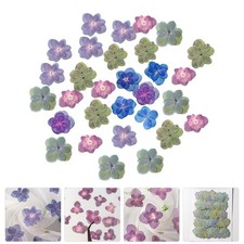 30 Pcs Blumendekoration Kunstharz-Bastelarbeiten Trockenblume Trockene
