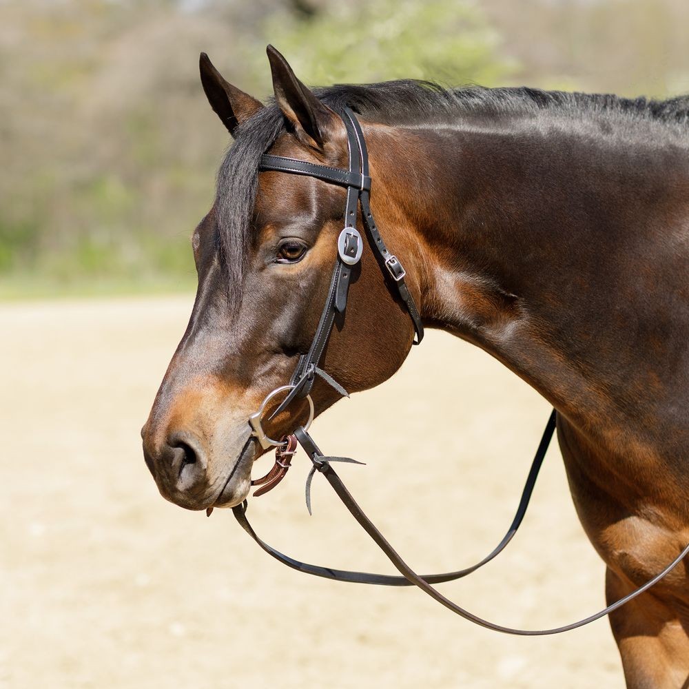 Billy Royal Black Leather Browband Headstall | Size 35"- 42" | Full Horse