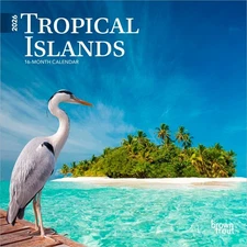 Tropical Islands | 2026 7x14" (Hanging) Monthly Mini Wall Calendar