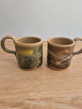 Boscastle Pottery Esspresso Coffee Cups x 2 Handmade In England Hand Painted VGC