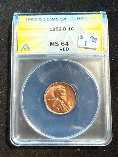 1952 D LINCOLN WHEAT CENT ANACS MS 64 RD 230