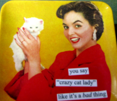 Retro  Anne Taintor '' You Say Crazy Cat Lady Like It's A Bad Thing'' Ceramic Dish