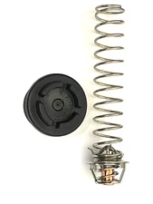 Pentair 77707-0010 Thermal Regulator Kit For Max-E-Therm and MasterTemp(R) Heate