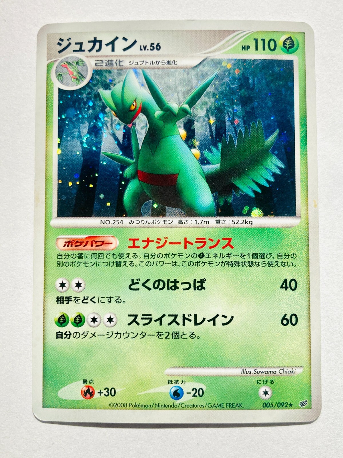 Sceptile Pokémon TCG Cards for sale | eBay