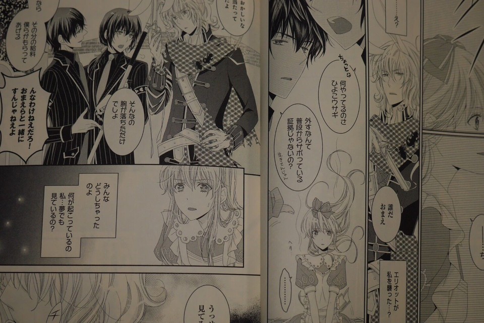 Diamond no Kuni no Alice Wonderful Wonder World -Bet on My Heart- Novel