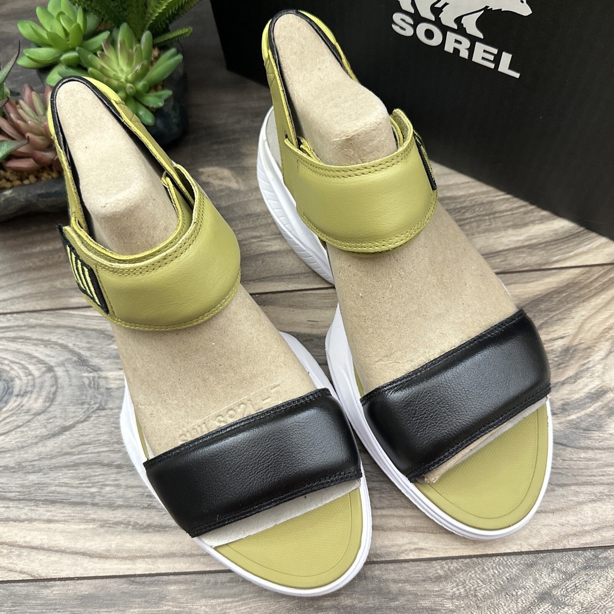 NIB Sorel Explorer Blitz Stride Leather Sport Sandal Olive Shade