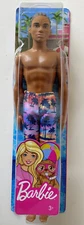 Barbie Ken African American 12" Beach Doll Male with Swim Suit New 