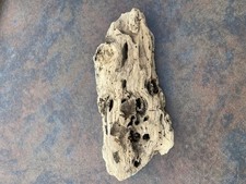 Natural Driftwood for Plants Terrarium Taxidermy Art Projects