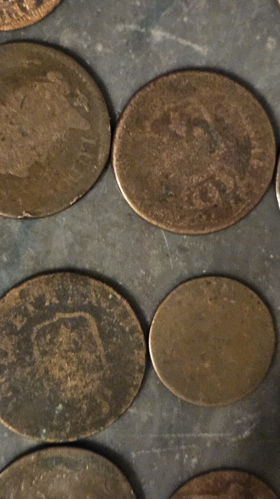 Picture 17 of 22
