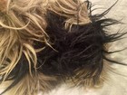 Bild 2 von 3