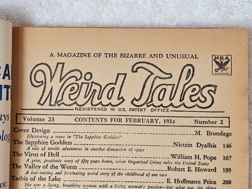 Weird Tales Pulp Magazine Feb 1934 VG Brundage Sapphire Goddess Robert E. Howard - Picture 14 of 24