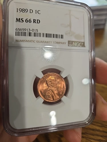 1989-D Lincoln Cent NGC ms66 Rd