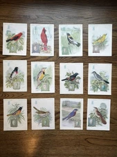 Circa 1927 Set of 12 Singer Sewing Machines American Song Bird Trade Cards