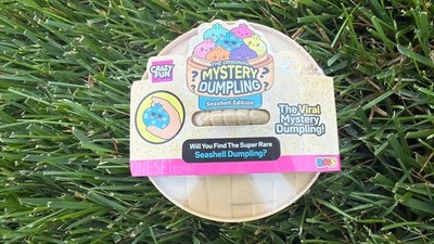 RMS Crazy Fun MYSTERY DUMPING Seashell Edition Viral Squishy Toy -  SEALED