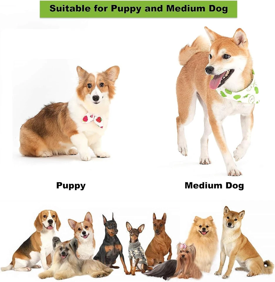 Giochi per Cani, 6 pezzi Giochi Interattivi per Cani Corda Cane Giochi per Cani - Immagine 2 di 4