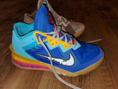 Nike Space Jam x Lebron 18 Low Wilie E. x Roadrunner size 5.5
