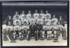1972 Boston Bruins Stanley Cup Championship Hockey Team Photo Picture Bobby Orr