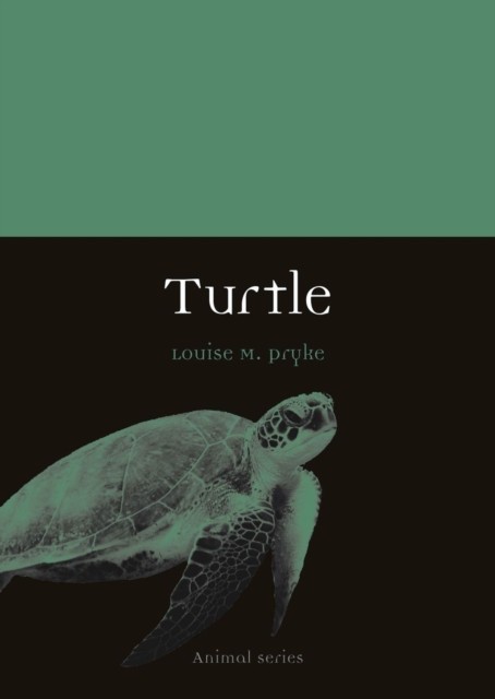 Turtle by Louise M. Pryke (Paperback Book)
