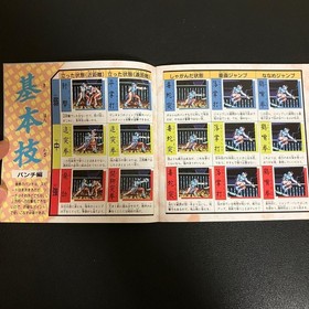 PC Engine Street Fighter 2 Dash ChLi fan book + mini fan included Japan Region