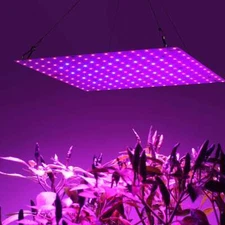 169LED Plant Grow Light Full Spectrum Plant UV Veg Lamp For Indoor Hydroponic