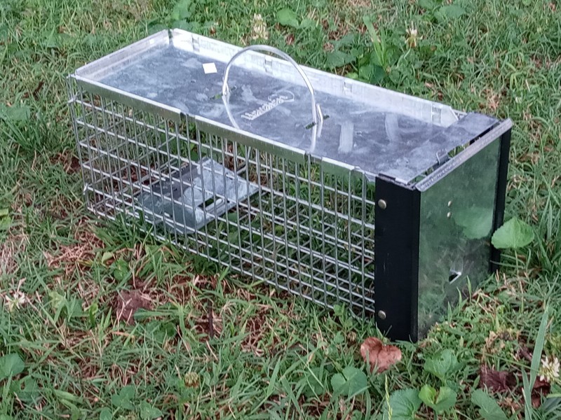 Havahart Animal Cage Trap 16 x 6 x 6 For Small Squirrel Chipmunk Weasel Rat Mice