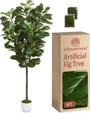 6ft Realistic Fiddle Leaf Fig Tree | Tall Faux Ficus Lyrata Indoor Home Decor