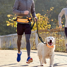 Hands-Free Dog Leash for Running  Walking with Waist Bag  Retractable Belt.uu
