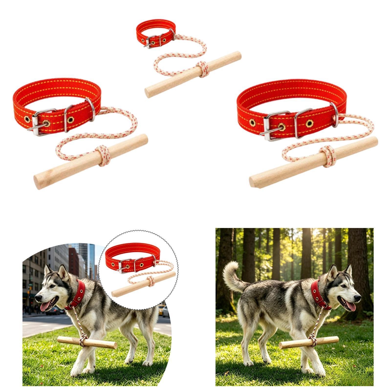 Dispositivo di contenimento anti-inseguimento per cani, accessorio per