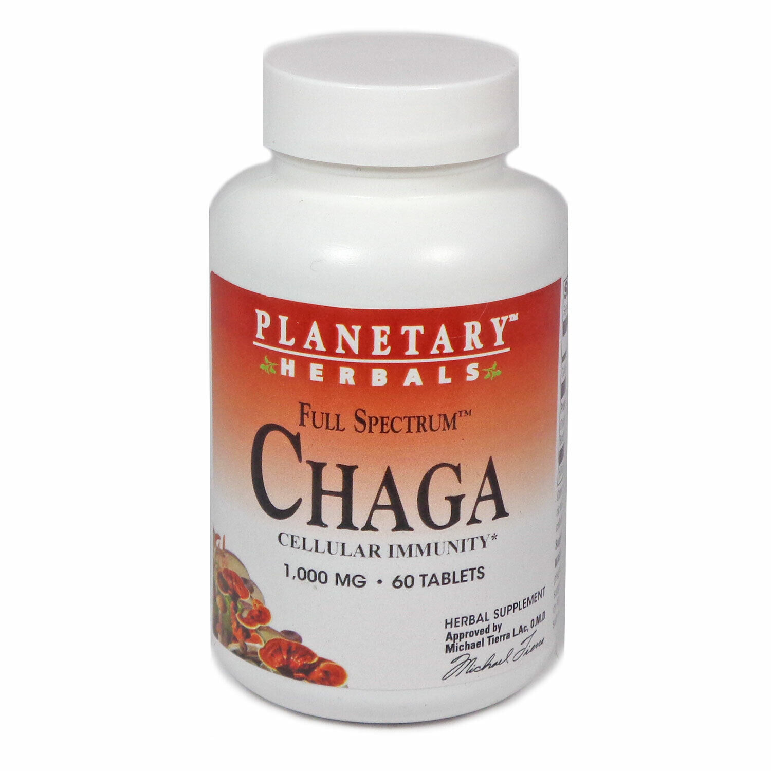 Chaga Full Spectrum 1000mg By Planetary Herbals - 60 Tablet