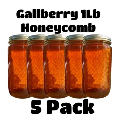 PURE RAW GALLBERRY HONEYCOMB 5 PACK 1lb 454g 16oz Each 100% PURE RAW UNFILTERED