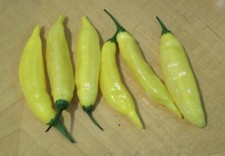 HOT LEMON PEPPER SEEDS 30 lemon DROP Aji Limon VEGETABLE garden FREE SHIPPING