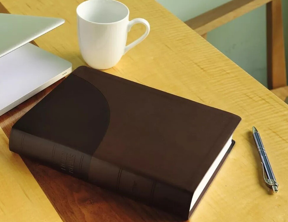 NIV, Super Giant Print Reference Bible, Leathersoft, Brown, Red Letter