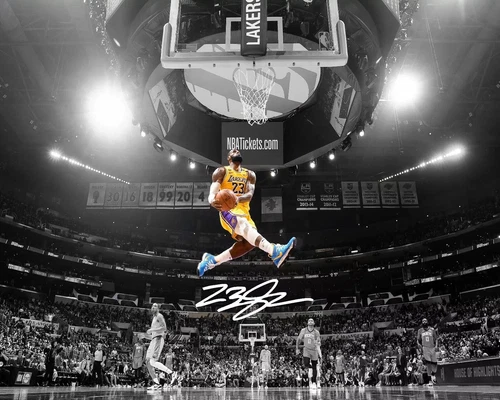 LEBRON  JAMES  -  8  X  10  GLOSSY  SIGNED  PHOTO  REPRINT