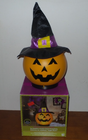 Picture 10 of 12