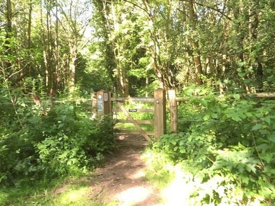Photo A3 Gate onto Headley Heath Box Hill/TQ1951  c2015