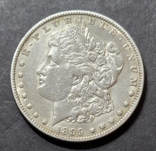 1899 Morgan Dollar, Cleaned EF