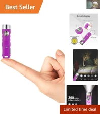 High Brightness 650 Lumens Aurora A1 G4 Keychain Flashlight - USB C Rechargeable