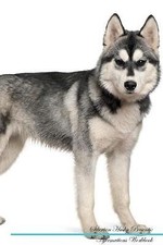 Siberian Husky Affirmations Workbook Siberian Husk