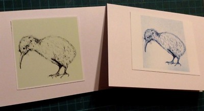 Kiwi Vogel x 2 Geburtstag GRUSSKARTEN Kunstdruck aus Original Tuschezeichnung