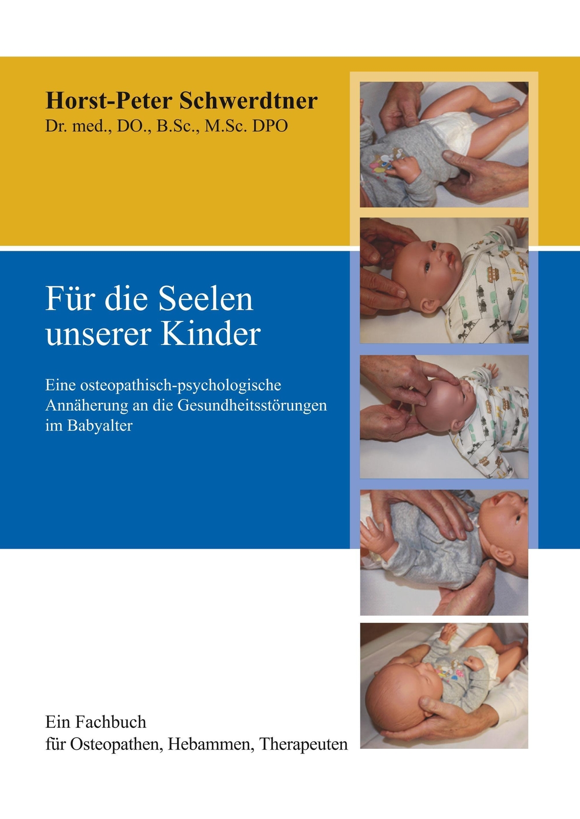 Thumbnail - Für Die Seelen Unserer Kinder | Horst-peter Schwerdtner | Taschenbuch