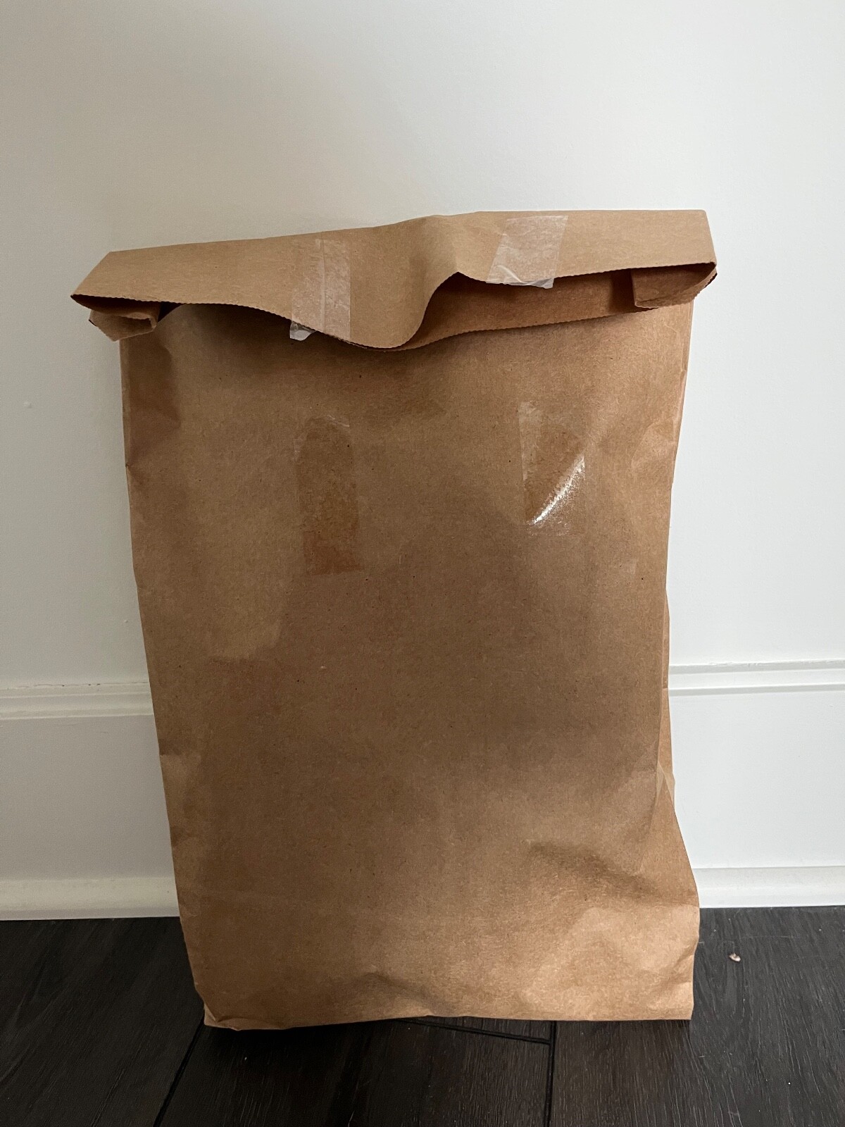 Breyerfest 2023 Exclusive Jump & Drive, NIP, BRAIDED Mane Model eBay