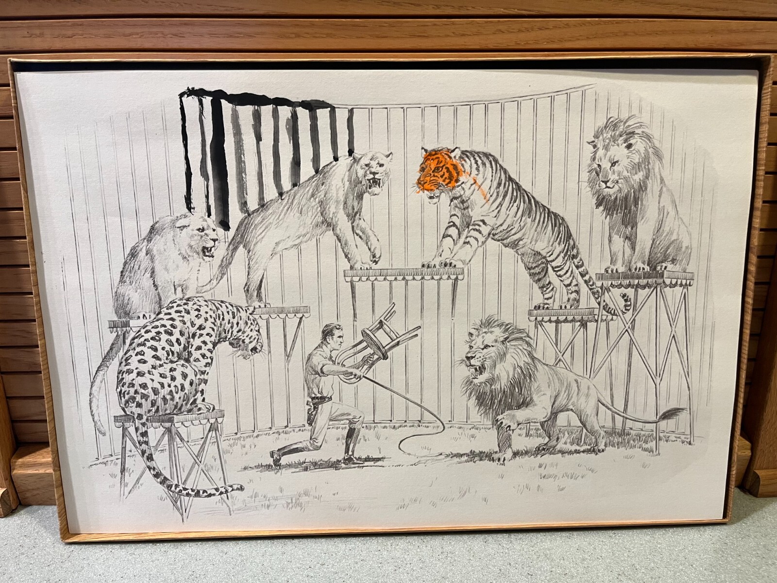 Picture 4 of 9