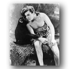 Buster Crabbe Photo 8x10 Tarzan The Ape Man 1932 Film Actor Chimpanzee Scene