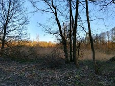 Bewaldetes Grundst&uuml;ck in Bietigheim/Baden