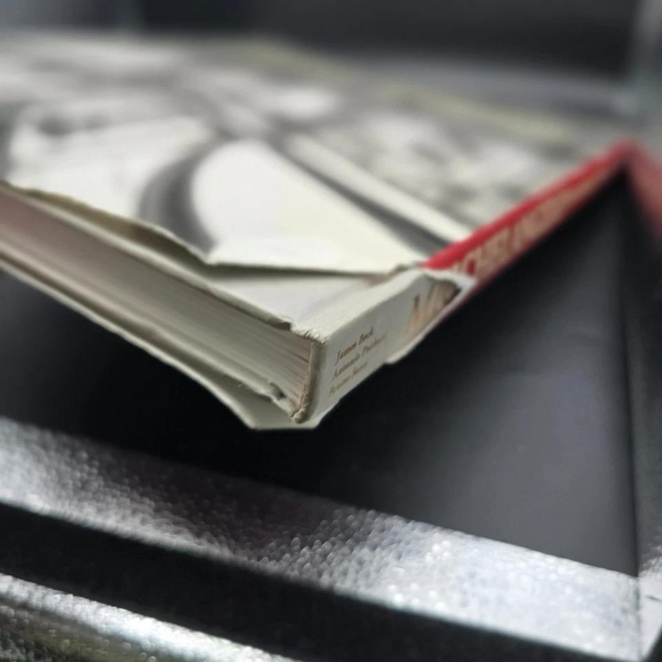 MICHELANGELO: THE MEDICI CHAPEL James Beck & Antonio Paolucci Hardcover - Good - Image 3 of 4